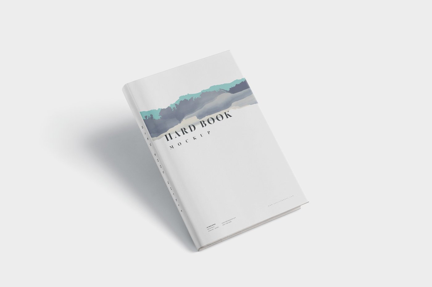 Light book cover with the small horizontal illustration.