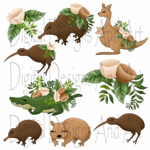 Australia Animals Clipart – MasterBundles