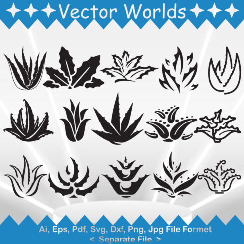 A selection of amazing aloe vera vector images.