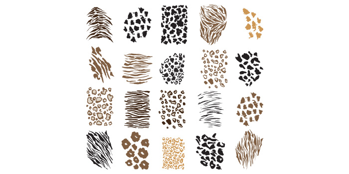 Bunch of different animal prints on a white background.
