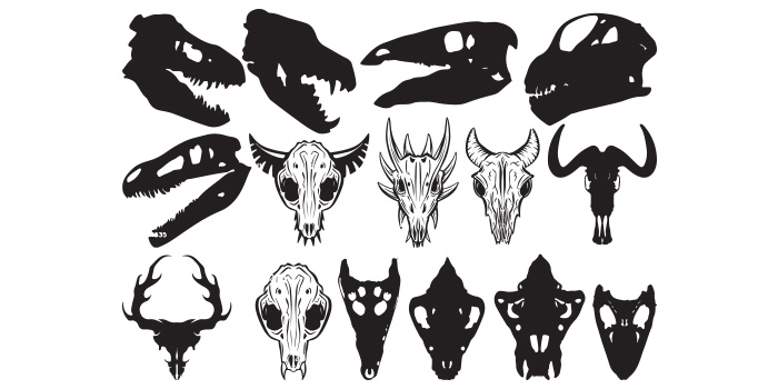 Set of different animal heads in black and white.
