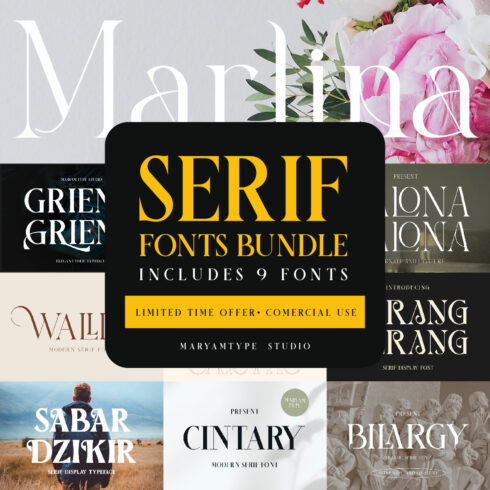 Amazing Serif Fonts cover image.