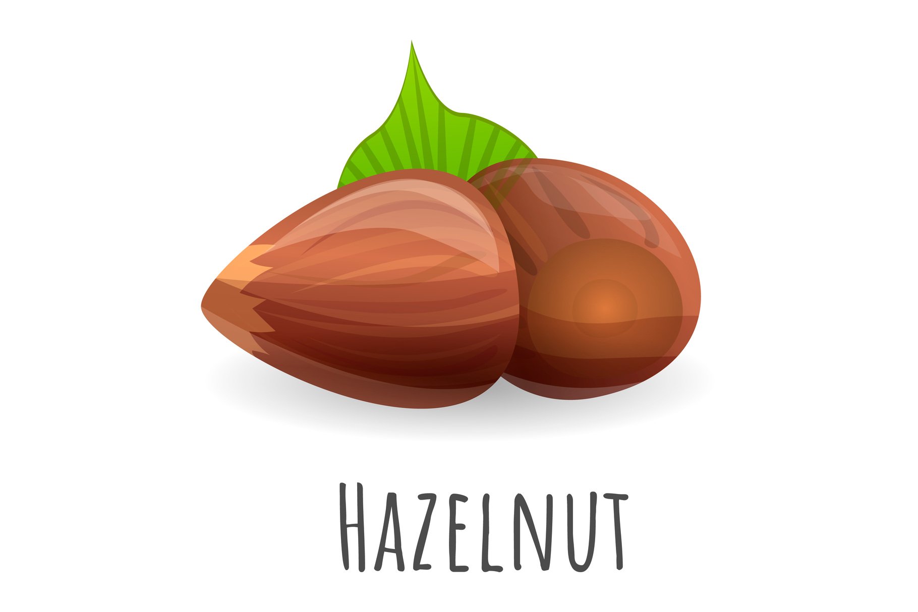 Black lettering "Hazelnut" and an illustration of 2 hazelnuts on a white background.