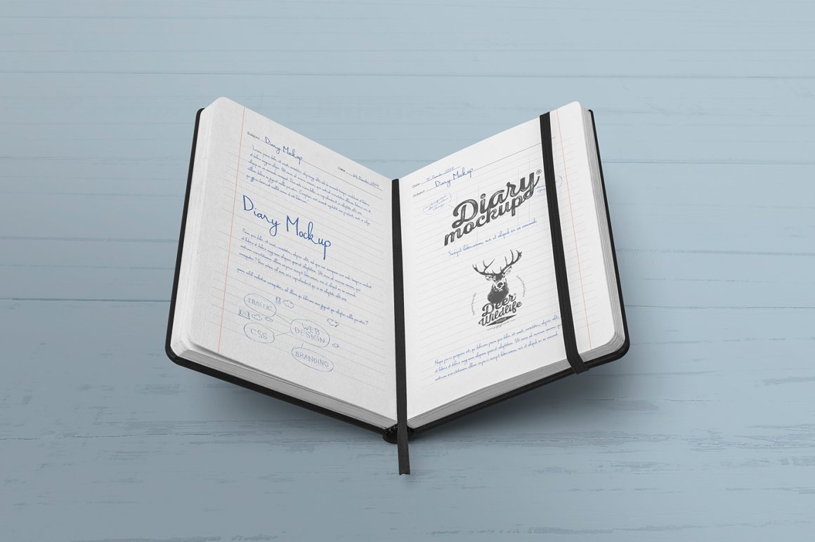 Image of an open diary with an irresistible design.