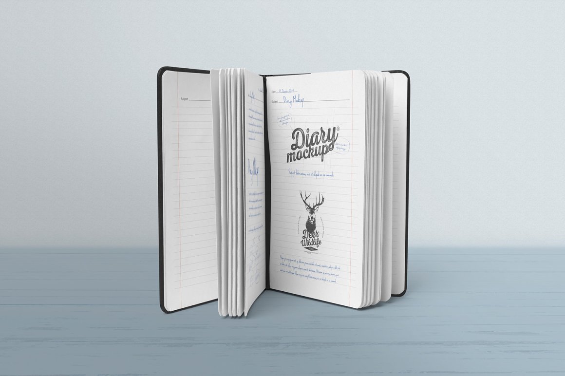 Image of an open diary with wonderful design.