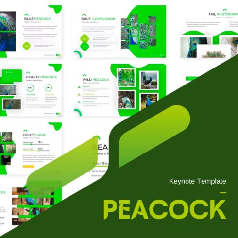 A selection of images of wonderful presentation template slides in green.