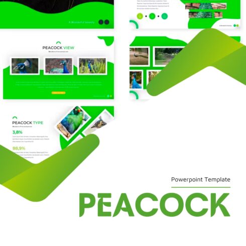 Bundle with images of amazing presentation template slides in green.