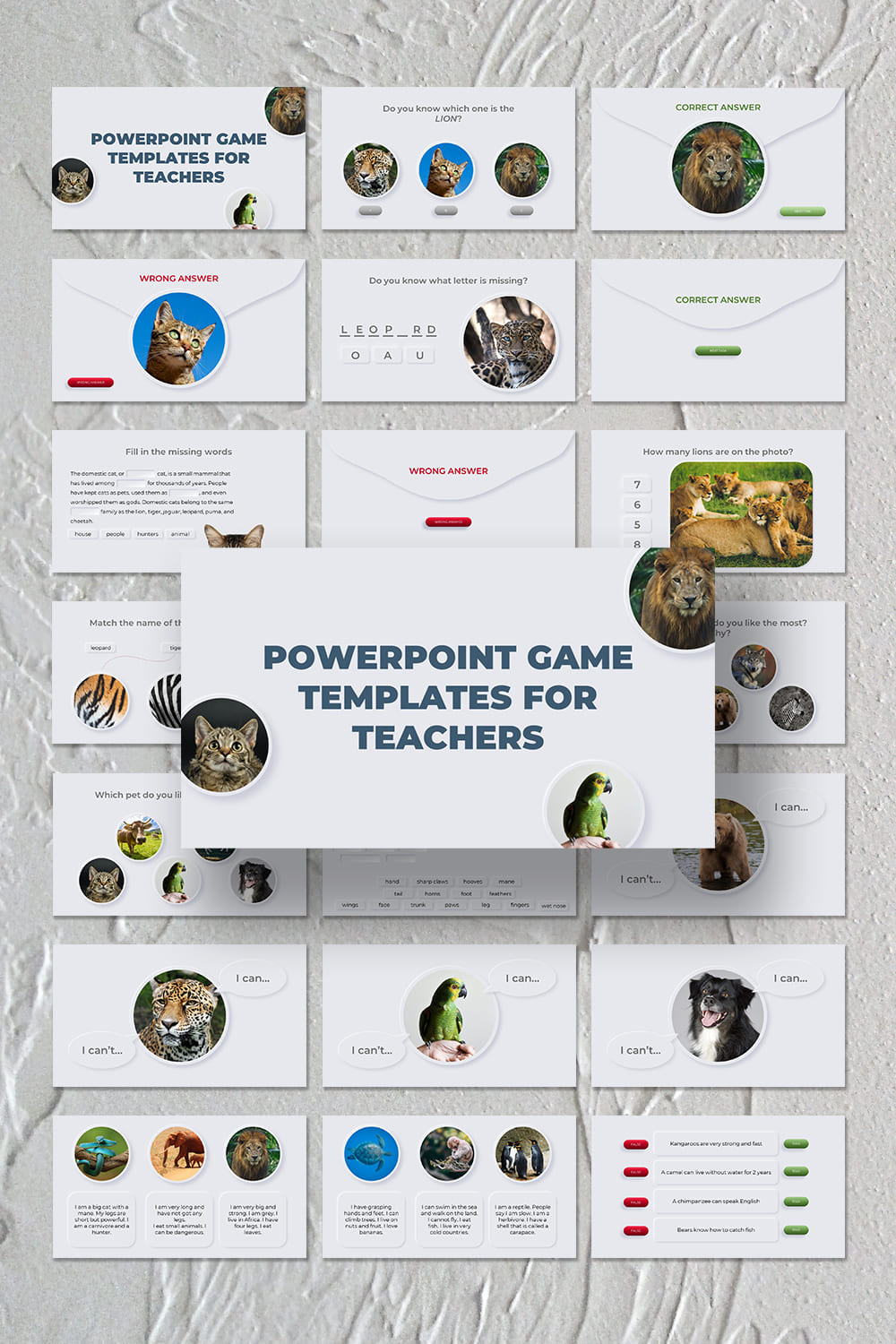 A set of beautiful slides from the presentation template game for teachers.