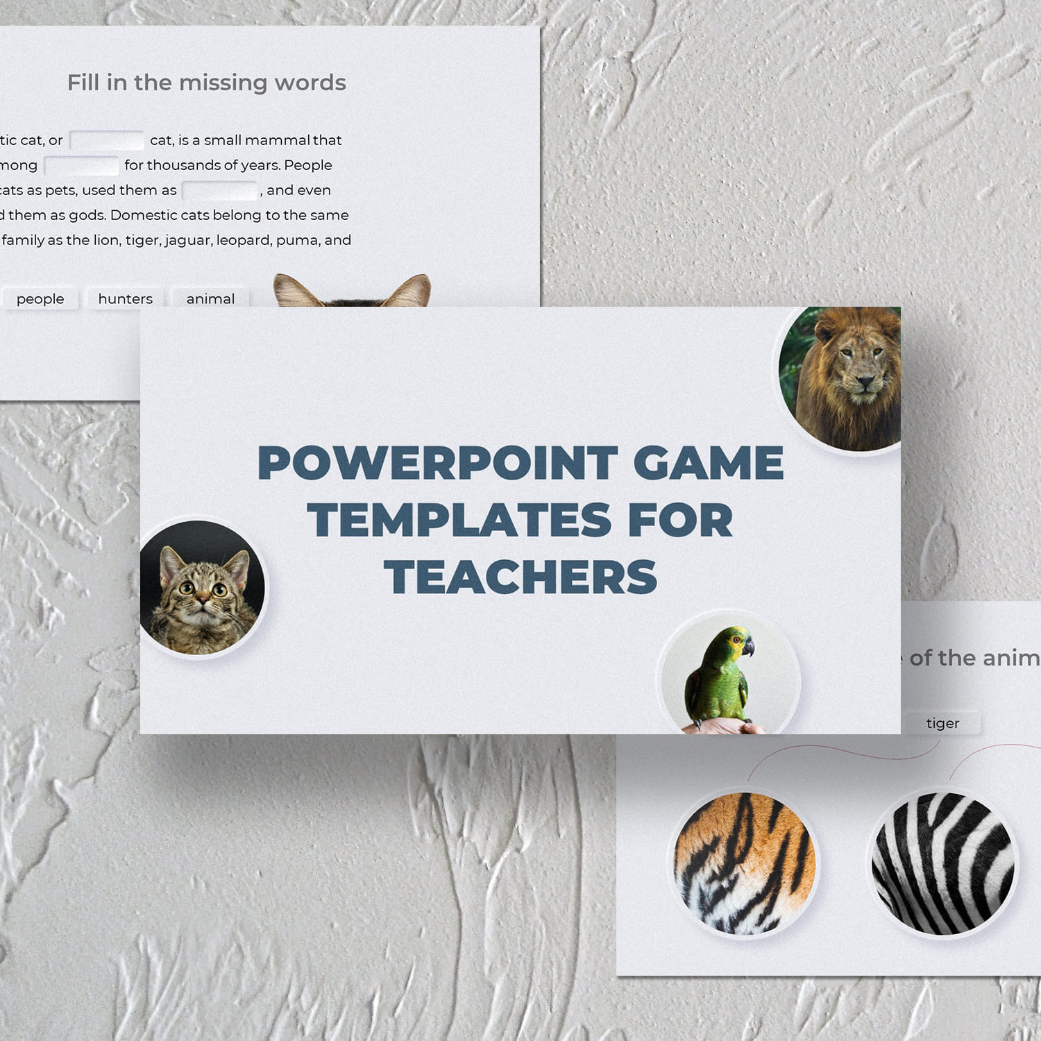 Collection of gorgeous slides from presentation game template for teachers.