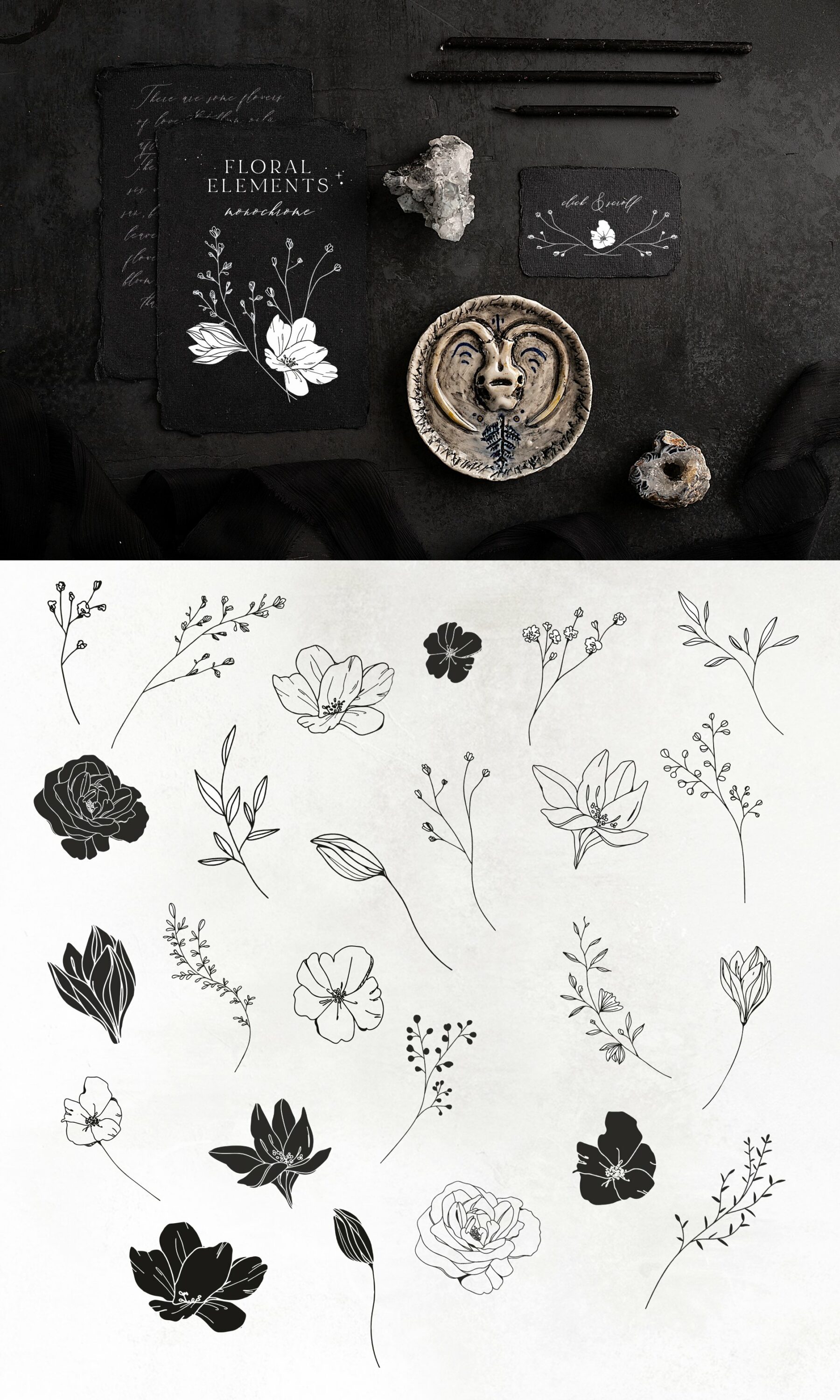 Delicate flowers illustrations in an outline and black.