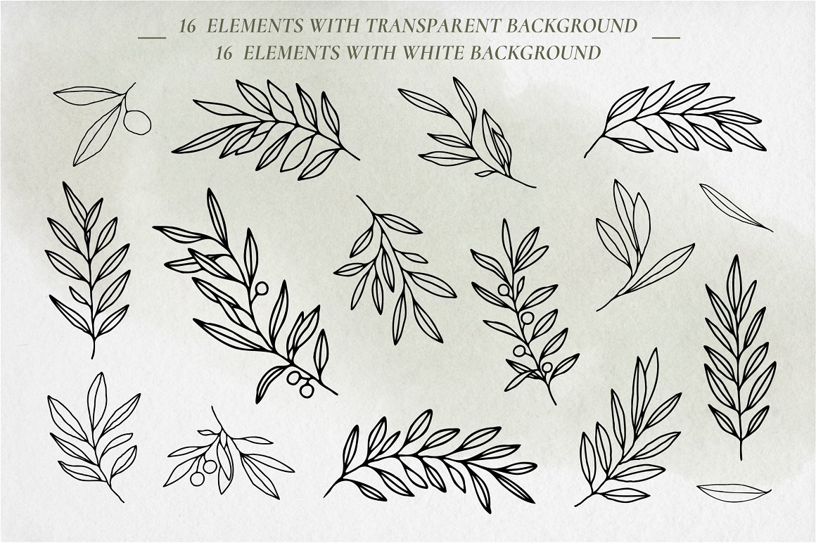 16 elements preview from Olive Branches Watercolors.