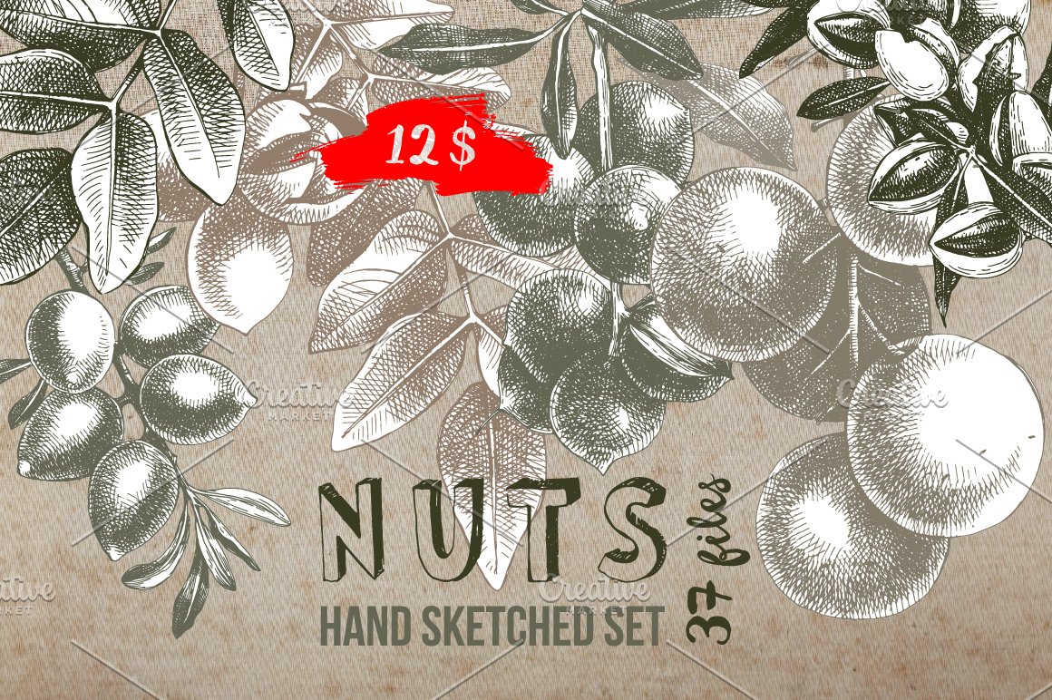 Hand sketched nuts set.