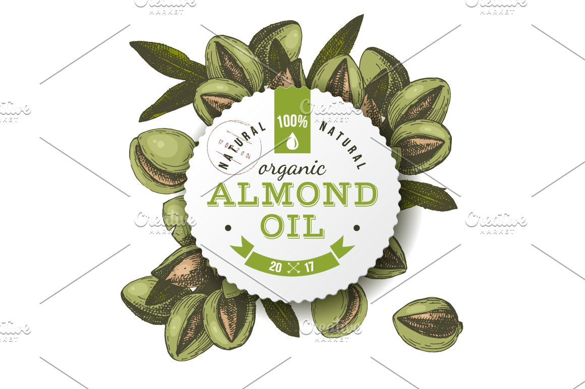 Almond oil illustration.