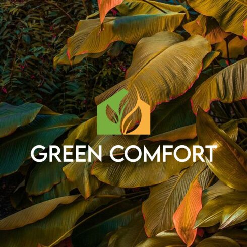 Green comfort on the background of leaves.