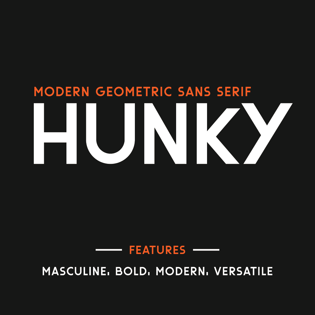 Hunky-Geometric Sans Serif Font cover image.