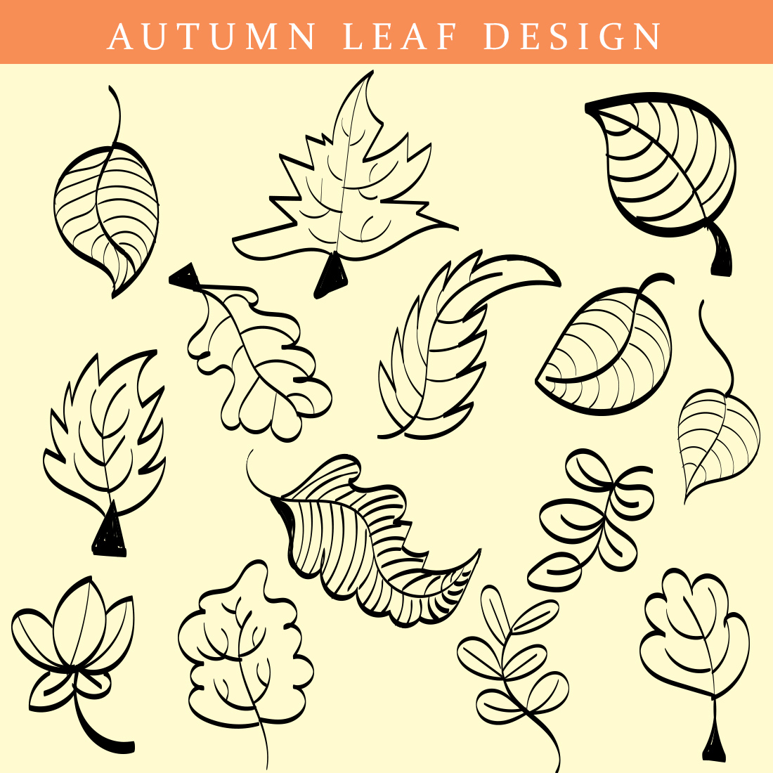Sketch Autumn Leaves Autumn Vector Set Stock Illustration - Download Image  Now - Leaf, Drawing - Activity, Autumn Leaf Color - iStock