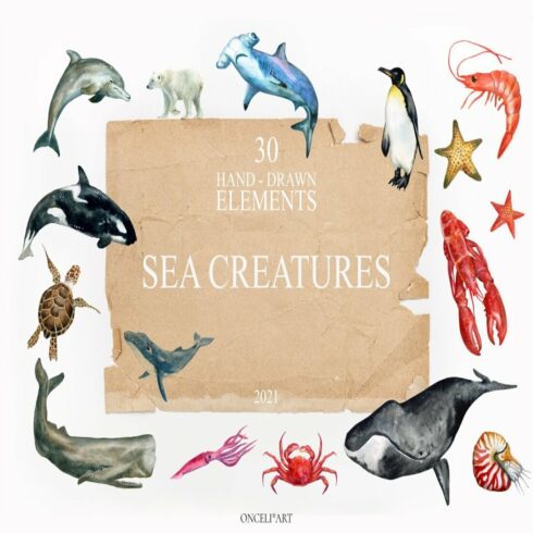 Watercolor Sea Creatures cover image.