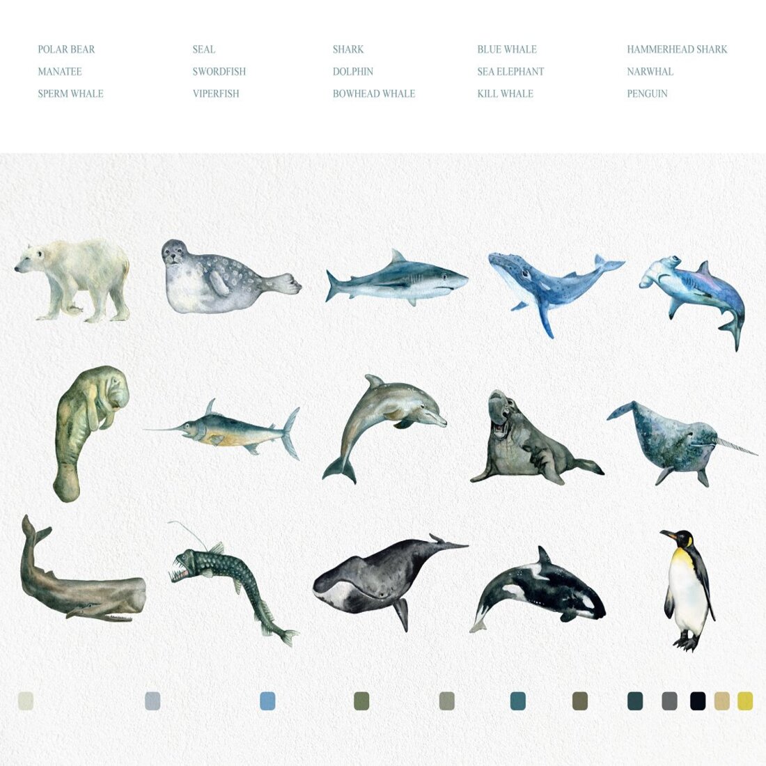 Watercolor Sea Creatures preview image.