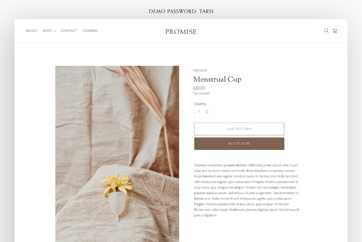 Image of beautiful shopify theme product page.