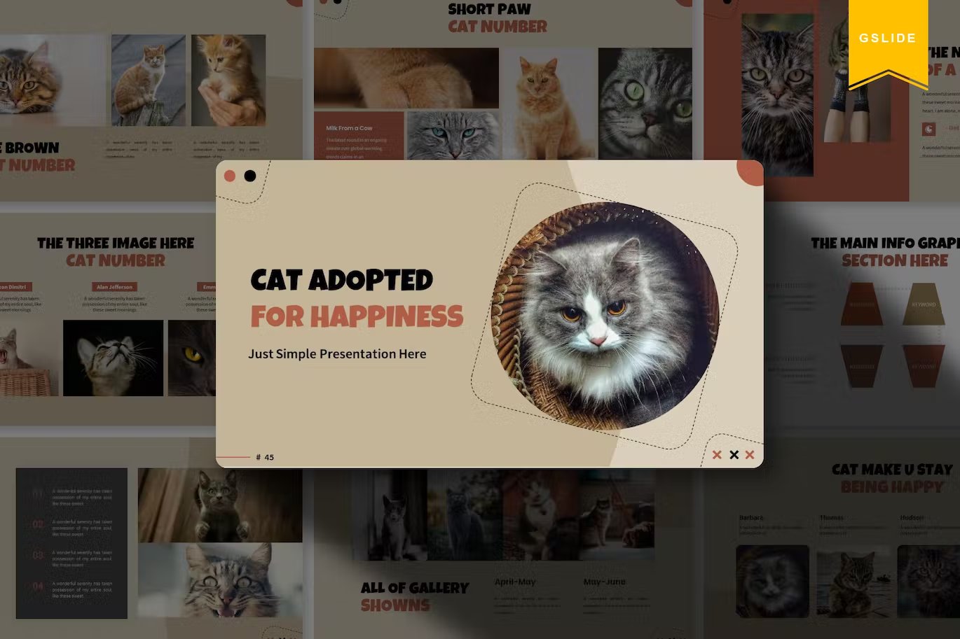 Cat adopted for happiness google slide template in beige, black and pink on the background of different presentation templates.
