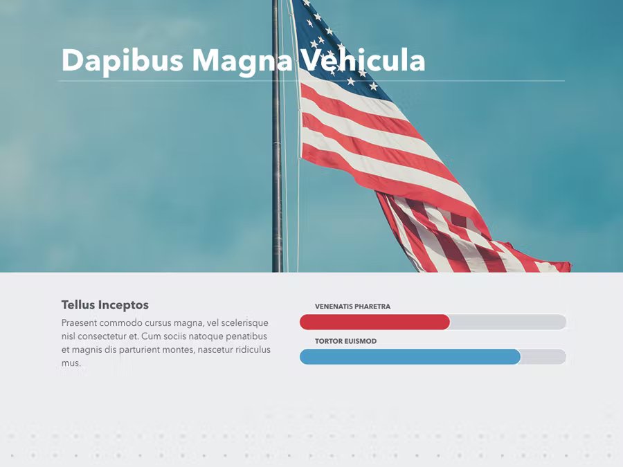 A turquoise and gray presentation template with white lettering "Dapibus Magna Vehicula" and 2 red and blue lines.