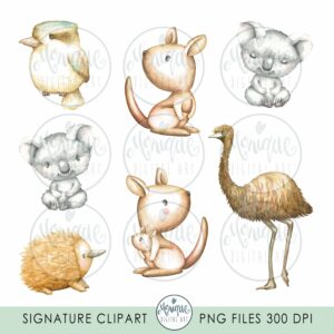 Australian Animals Clipart Watercolor | Master Bundles