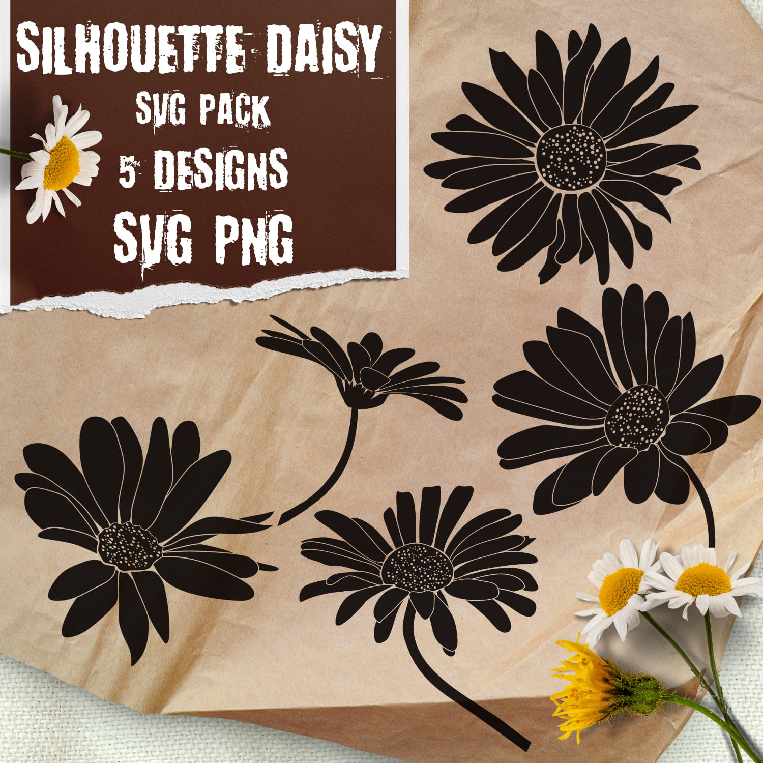 Silhouette Daisy T-shirt Designs Bundle - main image preview.