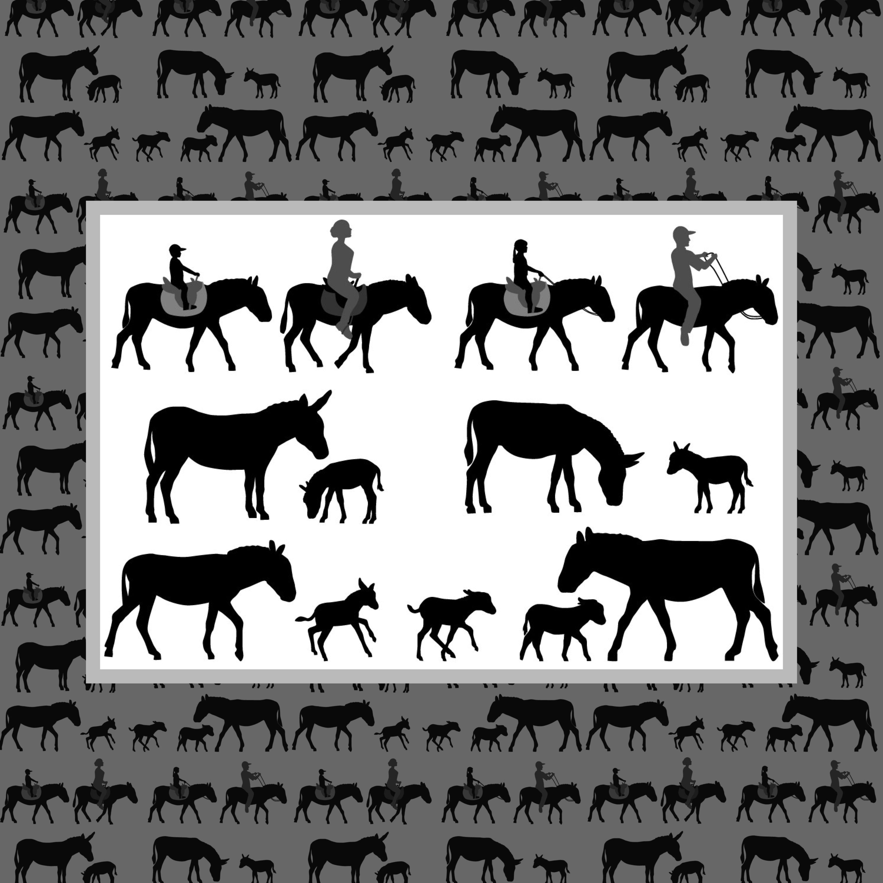Silhouette of donkey and foal cover.