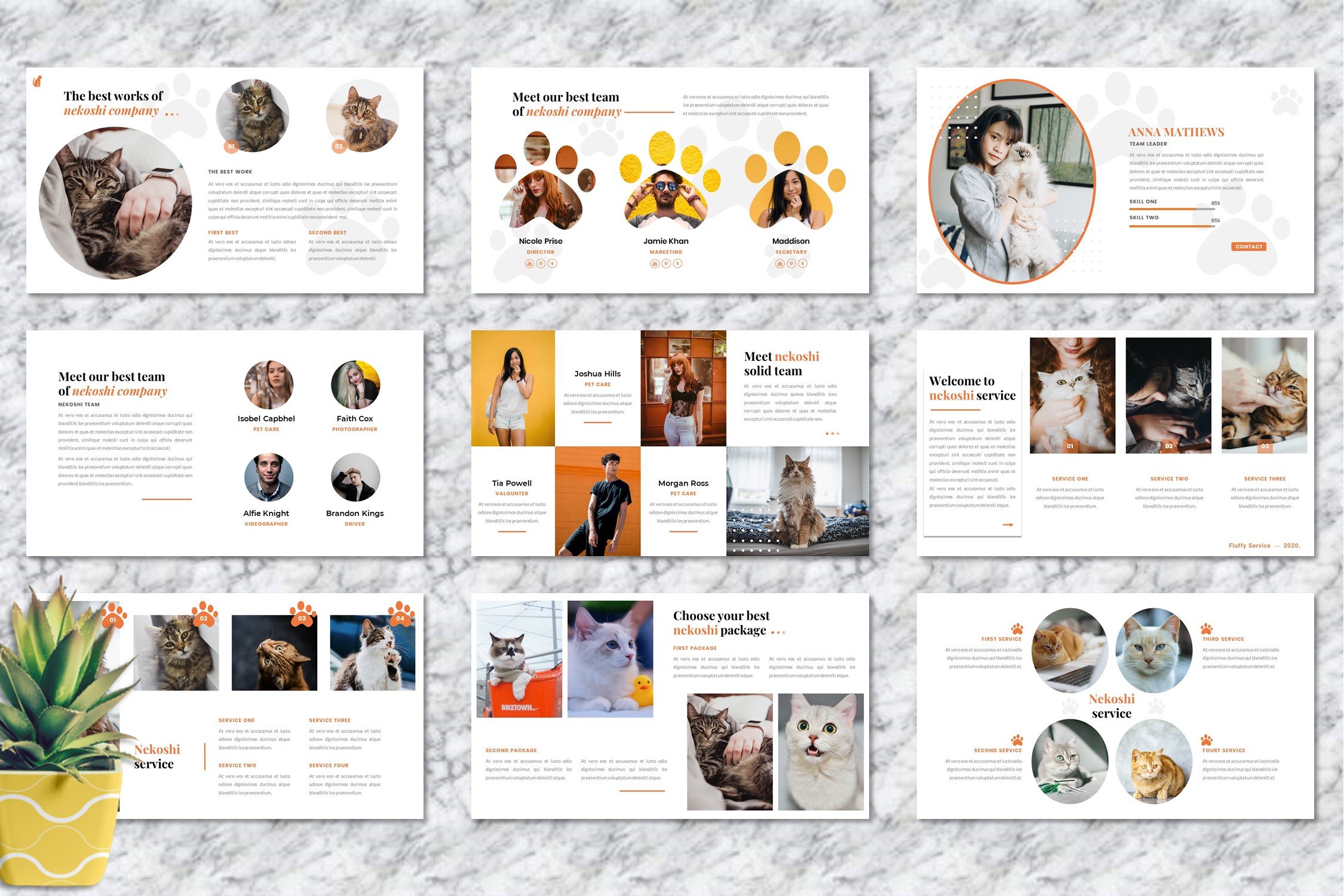 Lots of pet's elements for your presentation.