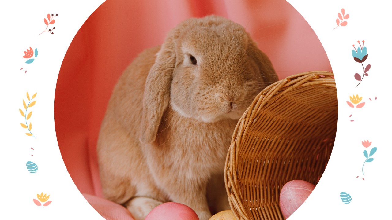 Image of a decorative rabbit.