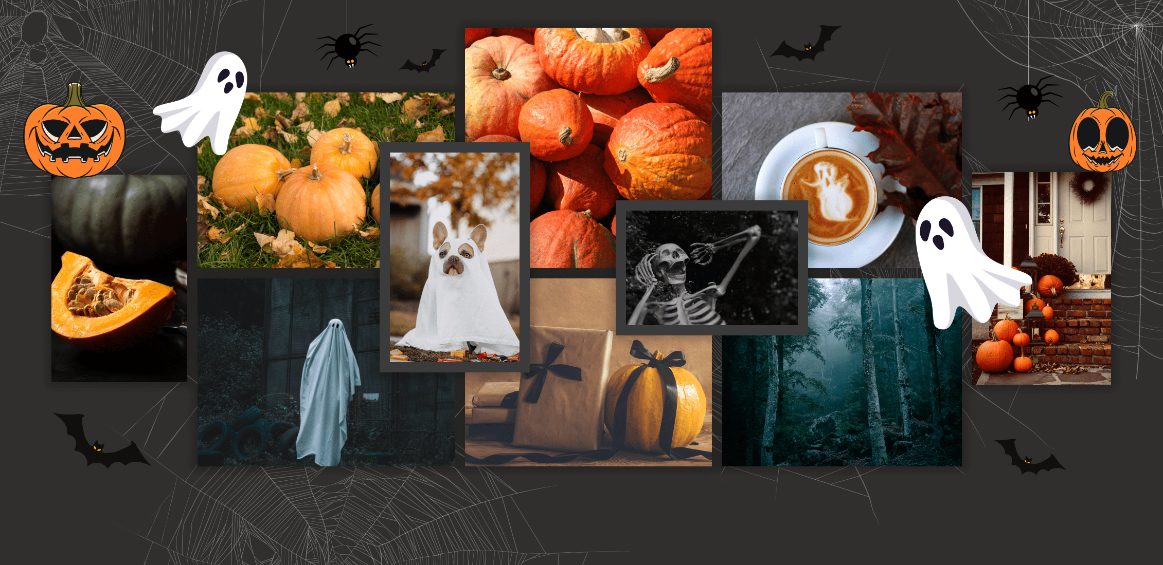 spooky halloween photos 204.