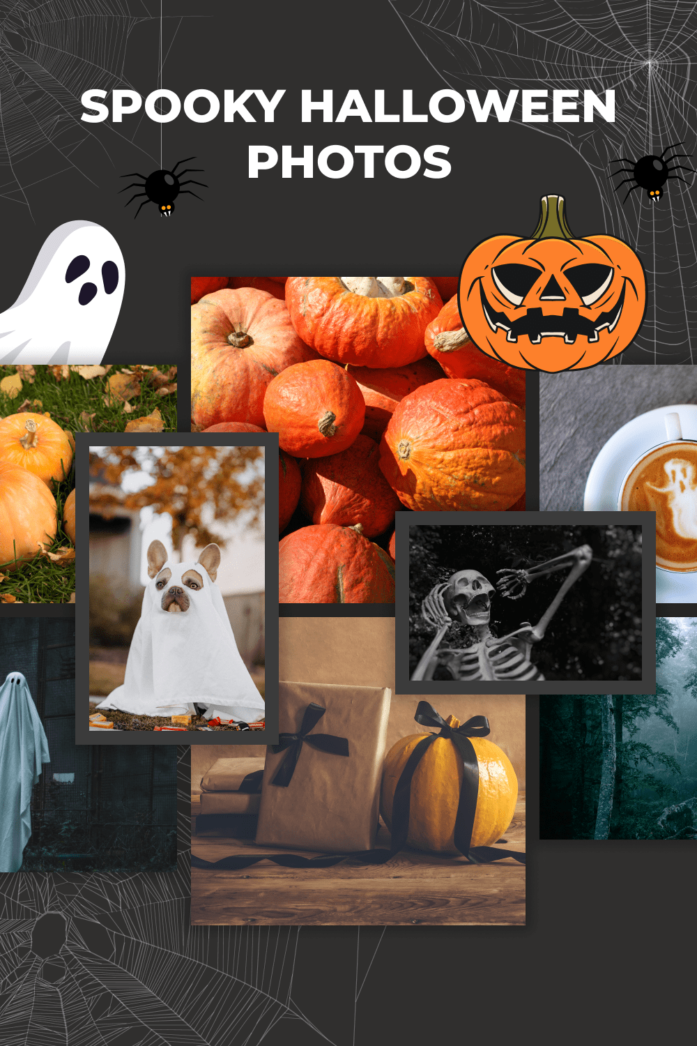 spooky halloween photos pinterest 401.