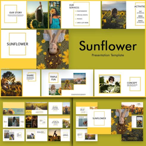 An image pack of adorable sunflower picture slide presentation template.