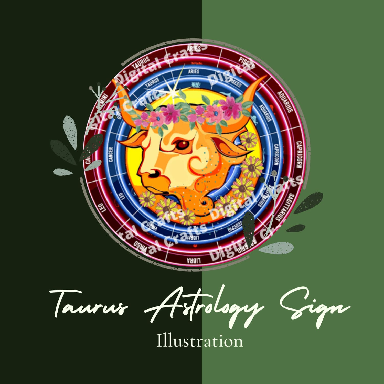 Taurus Astrology Sign Illustration, Kdp.