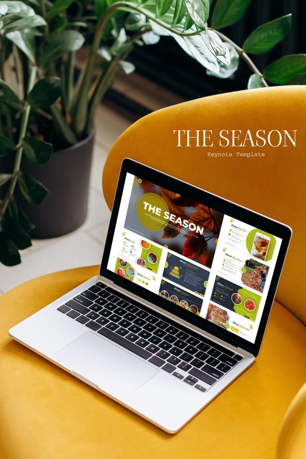 Image of beautiful presentation template slides on autumn theme on laptop.