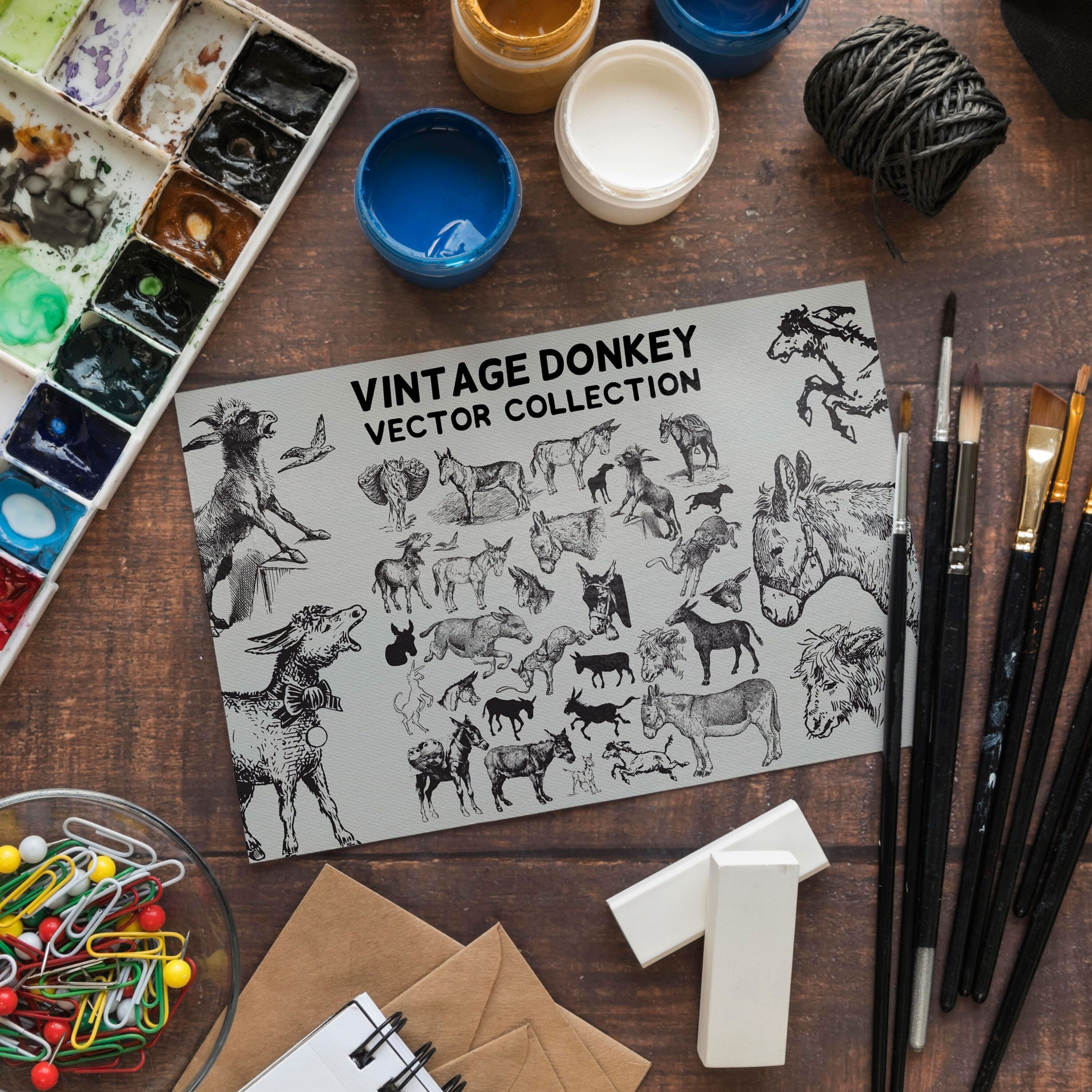 vintage donkeys vector collection cover.