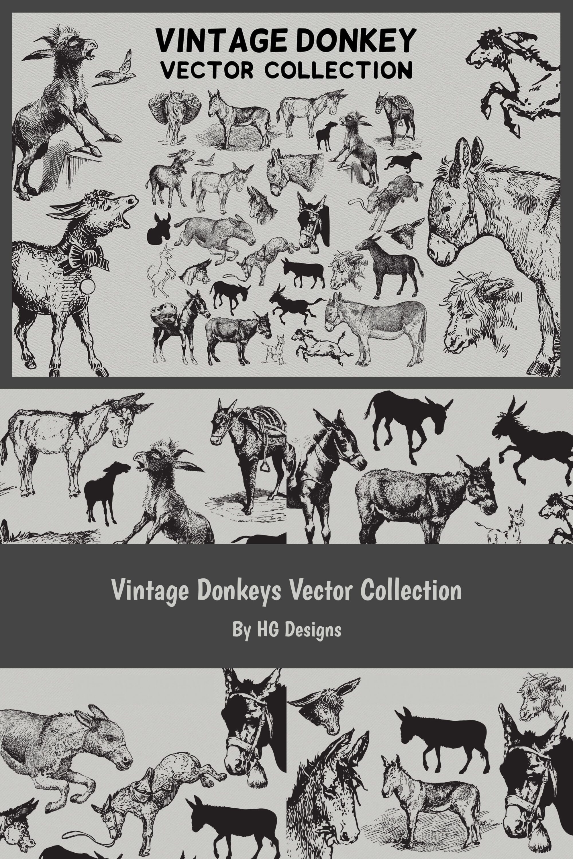 vintage donkeys vector collection 03 976