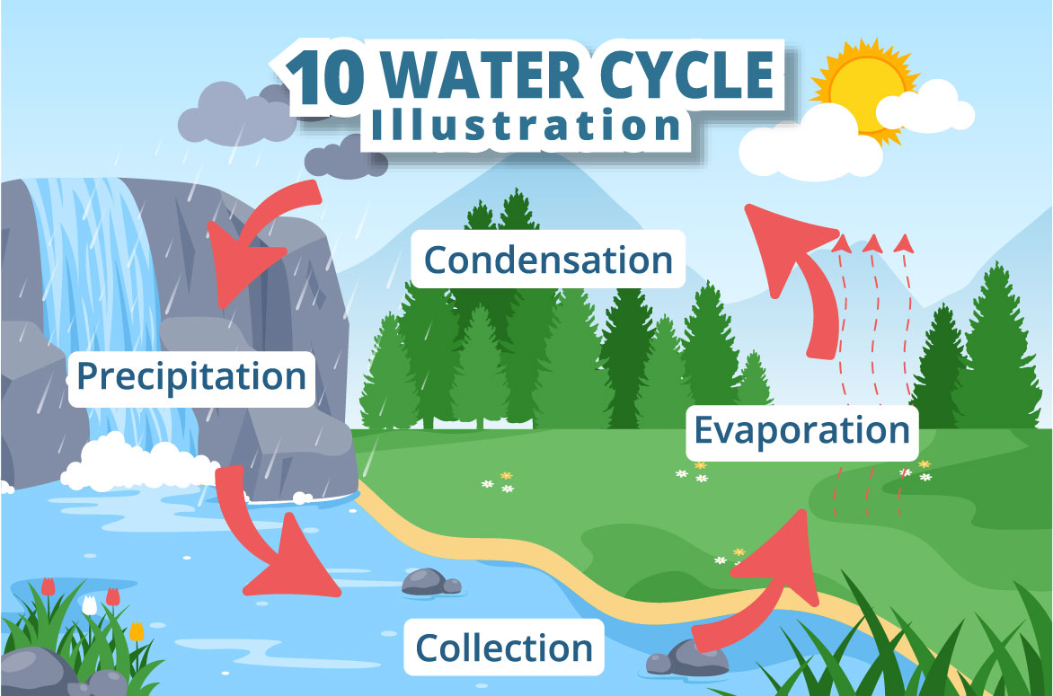 Amazing cartoon image of water cycle evaporation.