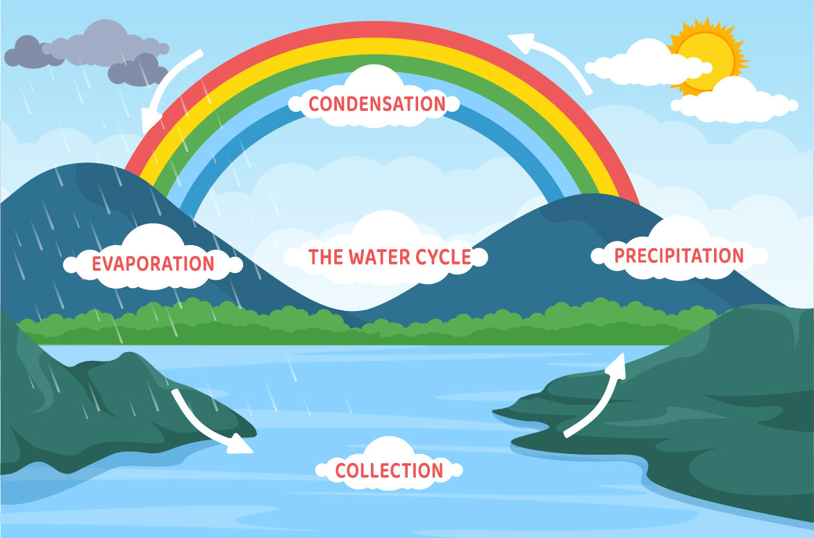 Irresistible cartoon image of the water cycle evaporation.