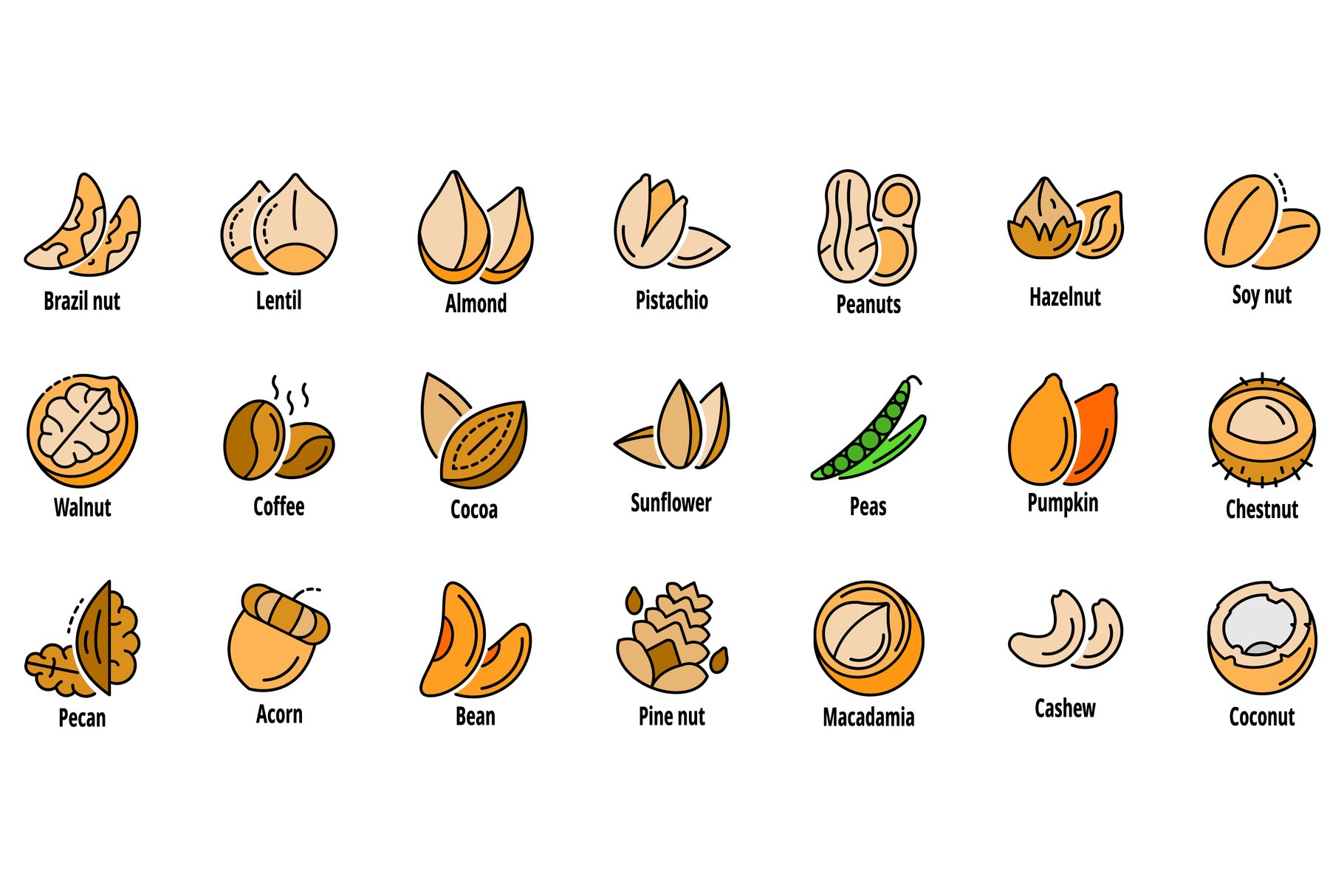 Nice big nuts collection for the tasty illustrations.