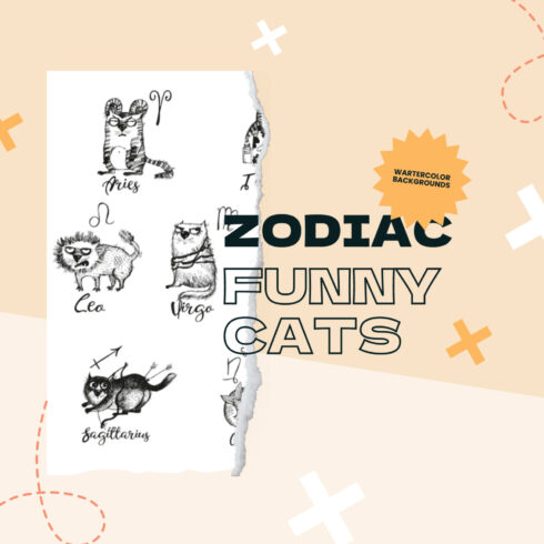Zodiac funny cats.