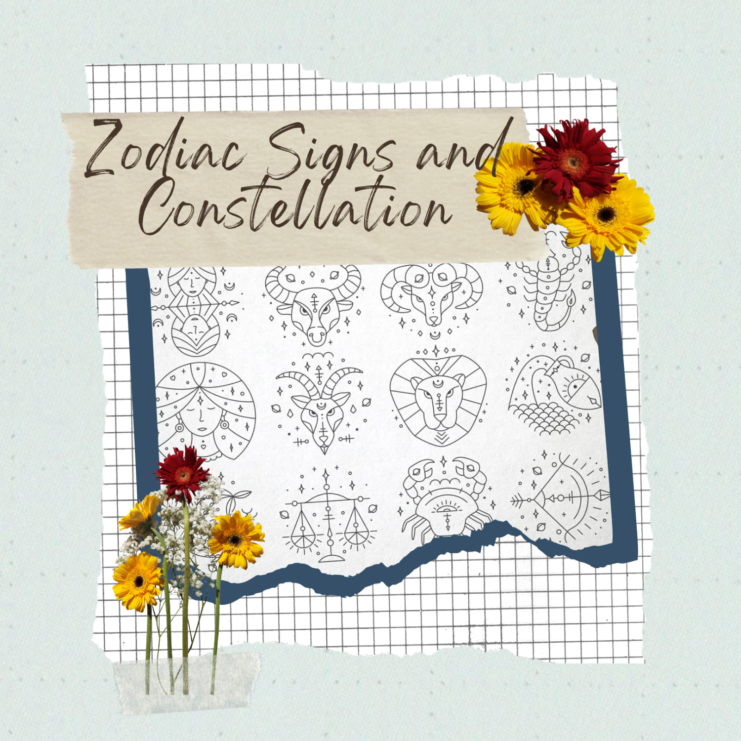 Zodiac Signs and Constellation.