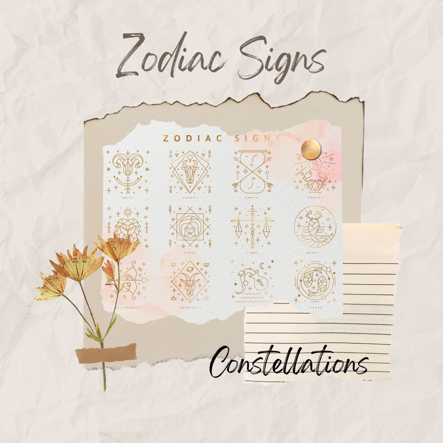 Zodiac Signs and Constellations.