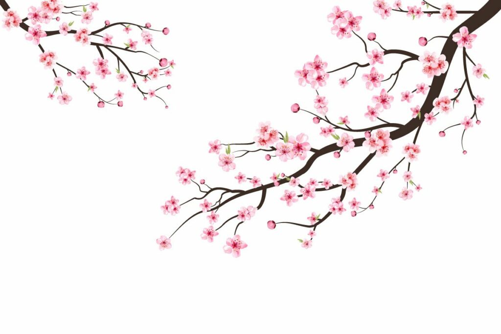 Cherry Blossom with Sakura Branch – MasterBundles