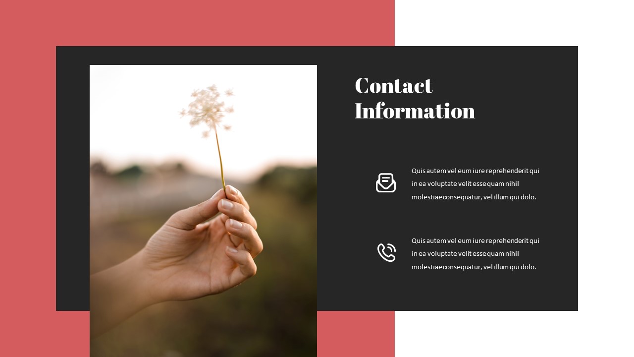 Add some contact information to your project.