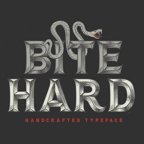 Bite Hard Font main cover with snake.