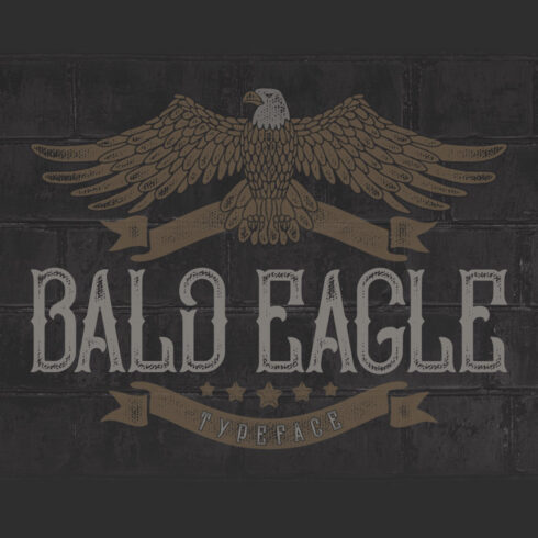Bald Eagle Typeface main cover.