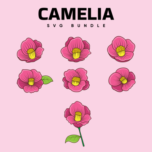Camelia Free SVG File.
