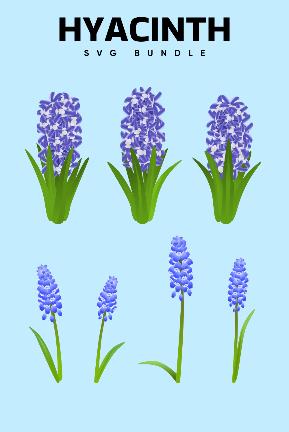01. hyacinth svg bundle 1000 x 1500 688