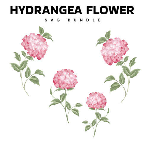 Hydrangea Flower SVG.